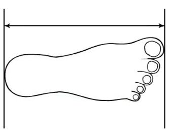foot_measure
